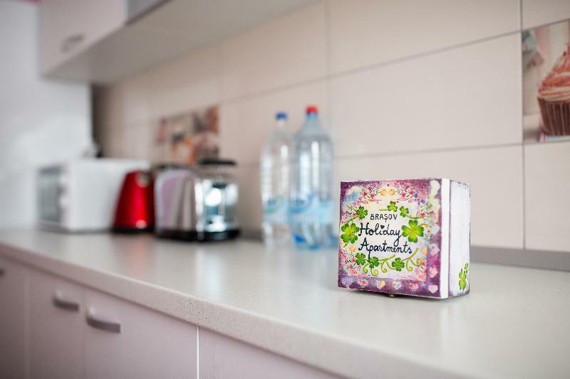Brasov Holiday Apartments - Magenta Bagian luar foto